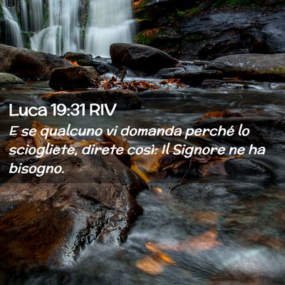 Picture 02 - Luca 19:31 RIV - E se qualcuno vi domanda perché lo sciogliete, - Bible Verse Picture