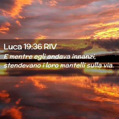 Picture 02 - Luca 19:36 RIV - E mentre egli andava innanzi, stendevano i loro - Bible Verse Picture