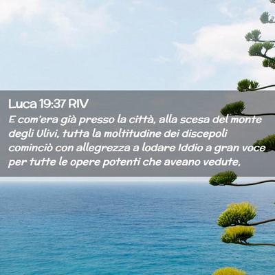 Picture 02 - Luca 19:37 RIV - E com’era già presso la città, alla scesa del - Bible Verse Picture