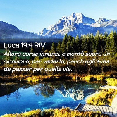 Picture 02 - Luca 19:4 RIV - Allora corse innanzi, e montò sopra un sicomoro, - Bible Verse Picture