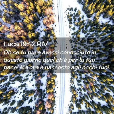 Picture 02 - Luca 19:42 RIV - Oh se tu pure avessi conosciuto in questo giorno - Bible Verse Picture