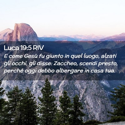 Picture 02 - Luca 19:5 RIV - E come Gesù fu giunto in quel luogo, alzati gli - Bible Verse Picture