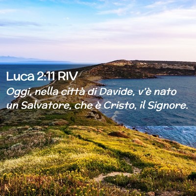 Picture 02 - Luca 2:11 RIV - Oggi, nella città di Davide, v’è nato un - Bible Verse Picture