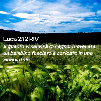 Picture 02 - Luca 2:12 RIV - E questo vi servirà di segno: troverete un - Bible Verse Picture