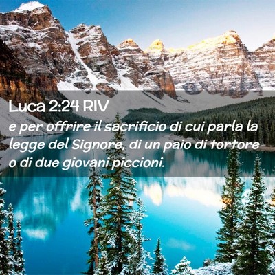 Picture 02 - Luca 2:24 RIV - e per offrire il sacrificio di cui parla la legge - Bible Verse Picture