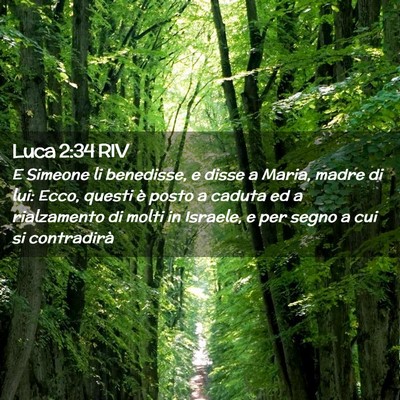 Picture 02 - Luca 2:34 RIV - E Simeone li benedisse, e disse a Maria, madre di - Bible Verse Picture