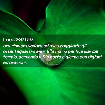 Picture 02 - Luca 2:37 RIV - era rimasta vedova ed avea raggiunto gli - Bible Verse Picture