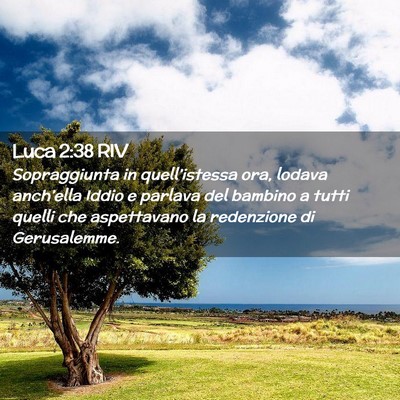 Picture 02 - Luca 2:38 RIV - Sopraggiunta in quell’istessa ora, lodava - Bible Verse Picture