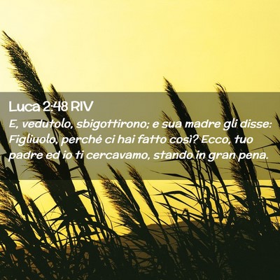 Picture 02 - Luca 2:48 RIV - E, vedutolo, sbigottirono; e sua madre gli disse: - Bible Verse Picture