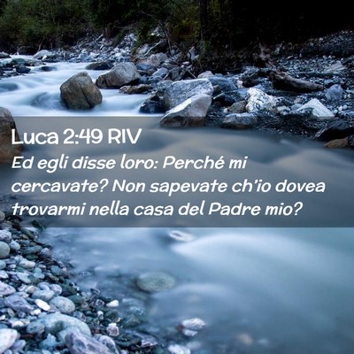 Picture 02 - Luca 2:49 RIV - Ed egli disse loro: Perché mi cercavate? Non - Bible Verse Picture