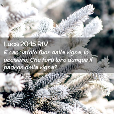 Picture 02 - Luca 20:15 RIV - E cacciatolo fuor dalla vigna, lo uccisero. Che - Bible Verse Picture