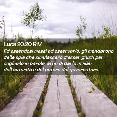 Picture 02 - Luca 20:20 RIV - Ed essendosi messi ad osservarlo, gli mandarono - Bible Verse Picture