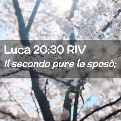 Picture 02 - Luca 20:30 RIV - Il secondo pure la - Bible Verse Picture