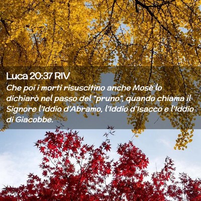 Picture 02 - Luca 20:37 RIV - Che poi i morti risuscitino anche Mosè lo - Bible Verse Picture