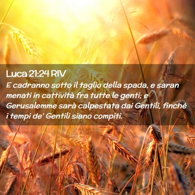 Picture 02 - Luca 21:24 RIV - E cadranno sotto il taglio della spada, e saran - Bible Verse Picture