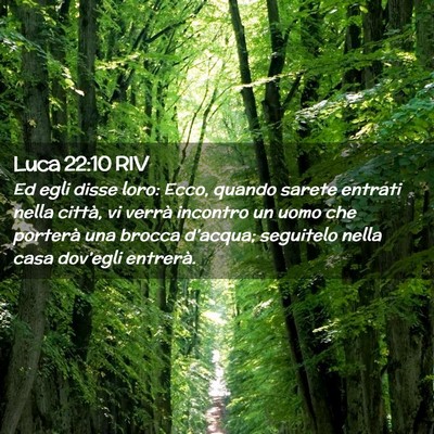Picture 02 - Luca 22:10 RIV - Ed egli disse loro: Ecco, quando sarete entrati - Bible Verse Picture