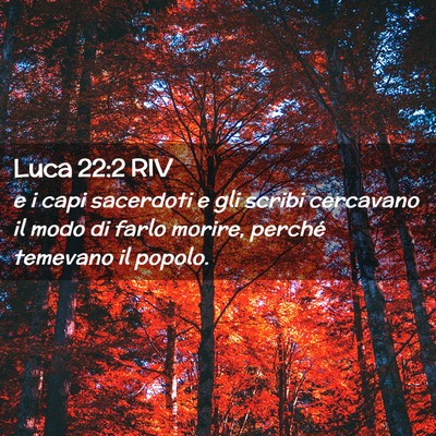 Picture 02 - Luca 22:2 RIV - e i capi sacerdoti e gli scribi cercavano il modo - Bible Verse Picture