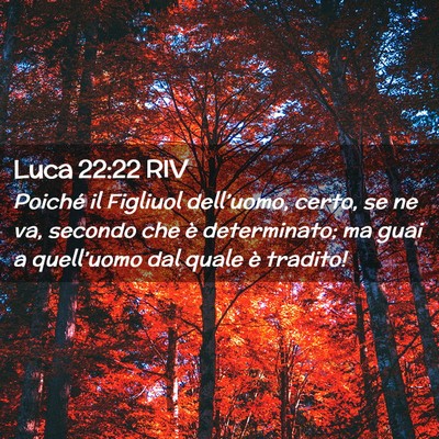 Picture 02 - Luca 22:22 RIV - Poiché il Figliuol dell’uomo, certo, se ne va, - Bible Verse Picture