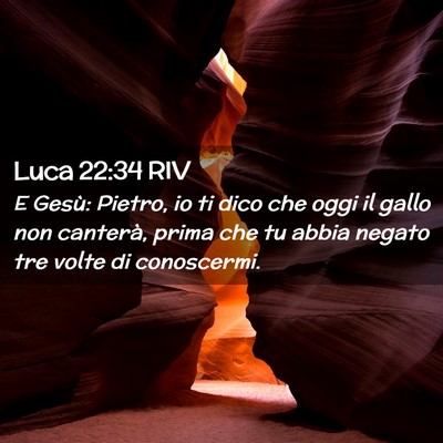 Picture 02 - Luca 22:34 RIV - E Gesù: Pietro, io ti dico che oggi il gallo non - Bible Verse Picture