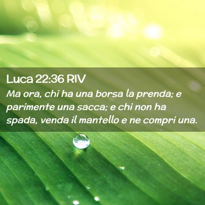 Picture 02 - Luca 22:36 RIV - Ma ora, chi ha una borsa la prenda; e parimente - Bible Verse Picture