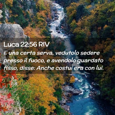 Picture 02 - Luca 22:56 RIV - E una certa serva, vedutolo sedere presso il - Bible Verse Picture