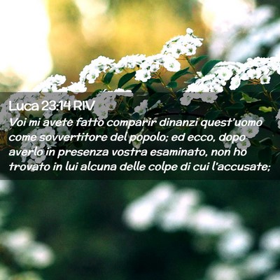 Picture 02 - Luca 23:14 RIV - Voi mi avete fatto comparir dinanzi quest’uomo - Bible Verse Picture