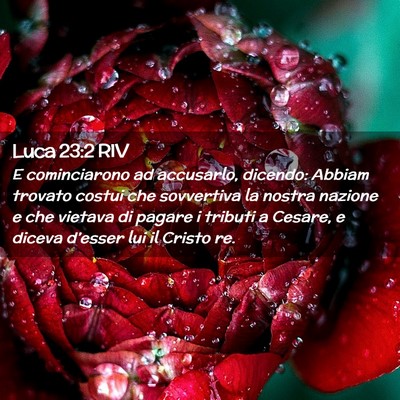 Picture 02 - Luca 23:2 RIV - E cominciarono ad accusarlo, dicendo: Abbiam - Bible Verse Picture