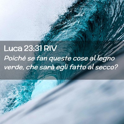 Picture 02 - Luca 23:31 RIV - Poiché se fan queste cose al legno verde, che - Bible Verse Picture