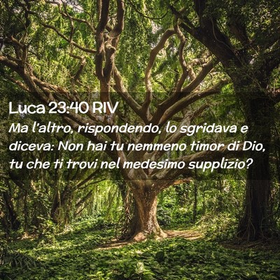 Picture 02 - Luca 23:40 RIV - Ma l’altro, rispondendo, lo sgridava e diceva: - Bible Verse Picture