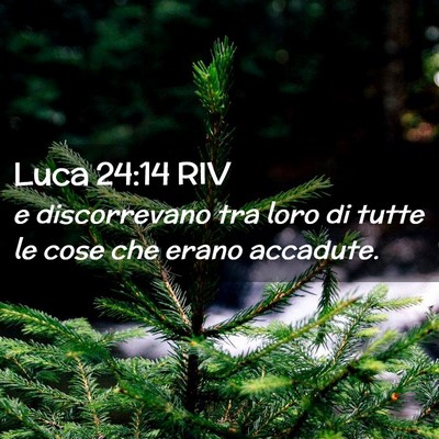 Picture 02 - Luca 24:14 RIV - e discorrevano tra loro di tutte le cose che - Bible Verse Picture