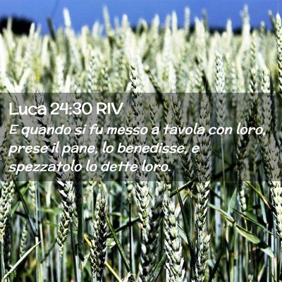 Picture 02 - Luca 24:30 RIV - E quando si fu messo a tavola con loro, prese il - Bible Verse Picture