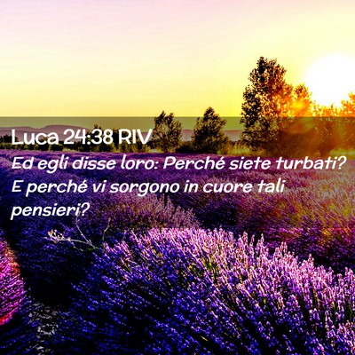 Picture 02 - Luca 24:38 RIV - Ed egli disse loro: Perché siete turbati? E - Bible Verse Picture