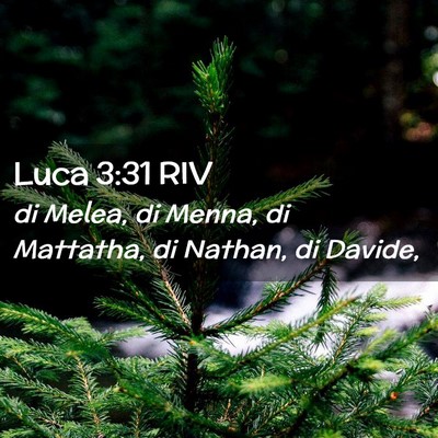 Picture 02 - Luca 3:31 RIV - di Melea, di Menna, di Mattatha, di Nathan, di - Bible Verse Picture