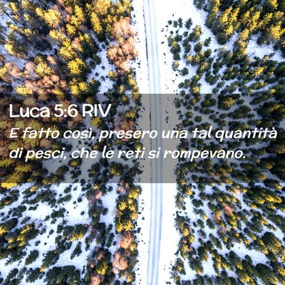Picture 02 - Luca 5:6 RIV - E fatto così, presero una tal quantità di - Bible Verse Picture