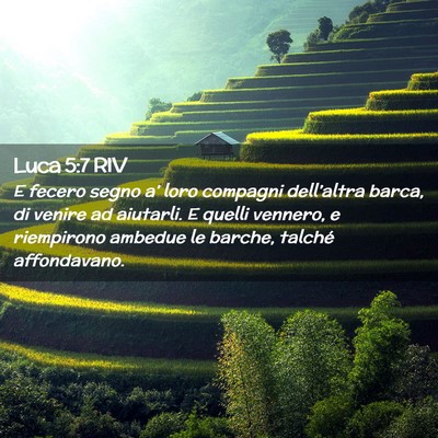 Picture 02 - Luca 5:7 RIV - E fecero segno a’ loro compagni dell’altra - Bible Verse Picture