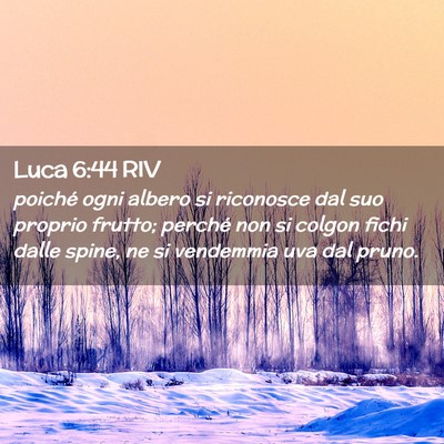 Picture 02 - Luca 6:44 RIV - poiché ogni albero si riconosce dal suo proprio - Bible Verse Picture