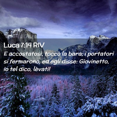 Picture 02 - Luca 7:14 RIV - E accostatosi, toccò la bara; i portatori si - Bible Verse Picture