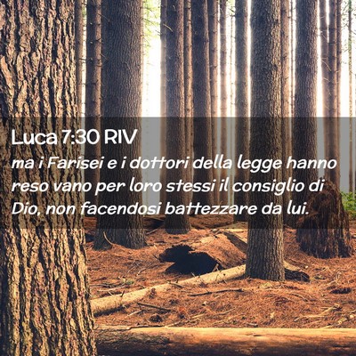 Picture 02 - Luca 7:30 RIV - ma i Farisei e i dottori della legge hanno reso - Bible Verse Picture
