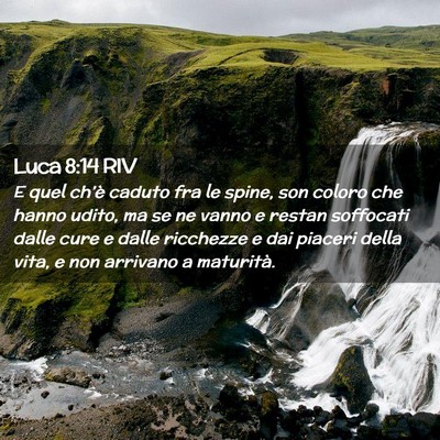 Picture 02 - Luca 8:14 RIV - E quel ch’è caduto fra le spine, son coloro - Bible Verse Picture