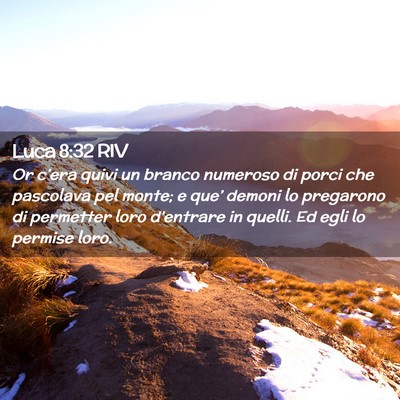 Picture 02 - Luca 8:32 RIV - Or c’era quivi un branco numeroso di porci che - Bible Verse Picture