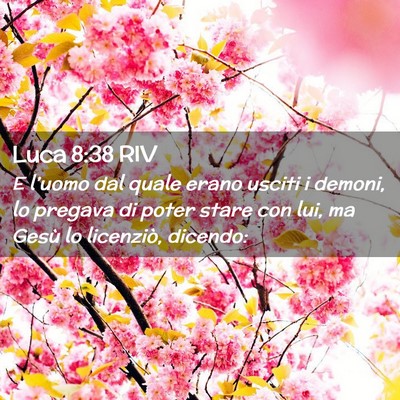 Picture 02 - Luca 8:38 RIV - E l’uomo dal quale erano usciti i demoni, lo - Bible Verse Picture