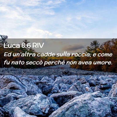 Picture 02 - Luca 8:6 RIV - Ed un’altra cadde sulla roccia; e come fu nato - Bible Verse Picture