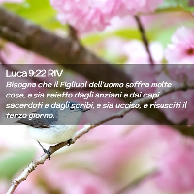 Picture 02 - Luca 9:22 RIV - Bisogna che il Figliuol dell’uomo soffra molte - Bible Verse Picture