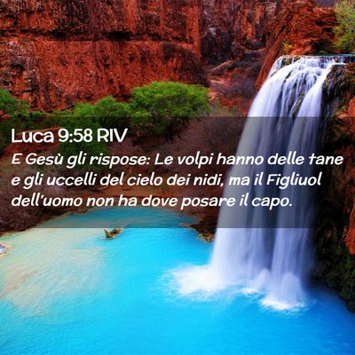 Picture 02 - Luca 9:58 RIV - E Gesù gli rispose: Le volpi hanno delle tane e - Bible Verse Picture