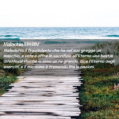Picture 02 - Malachia 1:14 RIV - Maledetto il fraudolento che ha nel suo gregge un - Bible Verse Picture