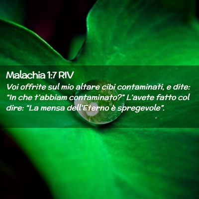 Picture 02 - Malachia 1:7 RIV - Voi offrite sul mio altare cibi contaminati, e - Bible Verse Picture