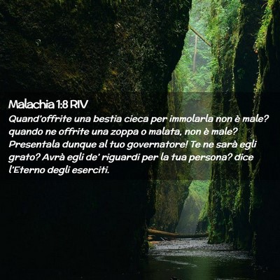Picture 02 - Malachia 1:8 RIV - Quand’offrite una bestia cieca per immolarla - Bible Verse Picture