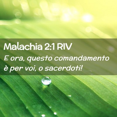 Picture 02 - Malachia 2:1 RIV - E ora, questo comandamento è per voi, o - Bible Verse Picture