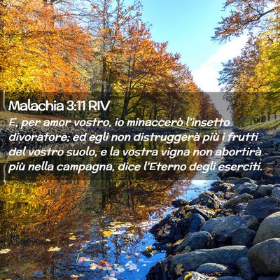 Picture 02 - Malachia 3:11 RIV - E, per amor vostro, io minaccerò l’insetto - Bible Verse Picture