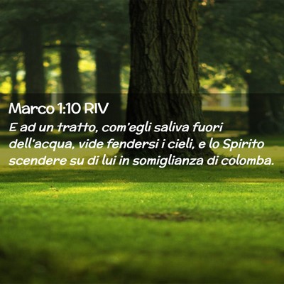 Picture 02 - Marco 1:10 RIV - E ad un tratto, com’egli saliva fuori - Bible Verse Picture
